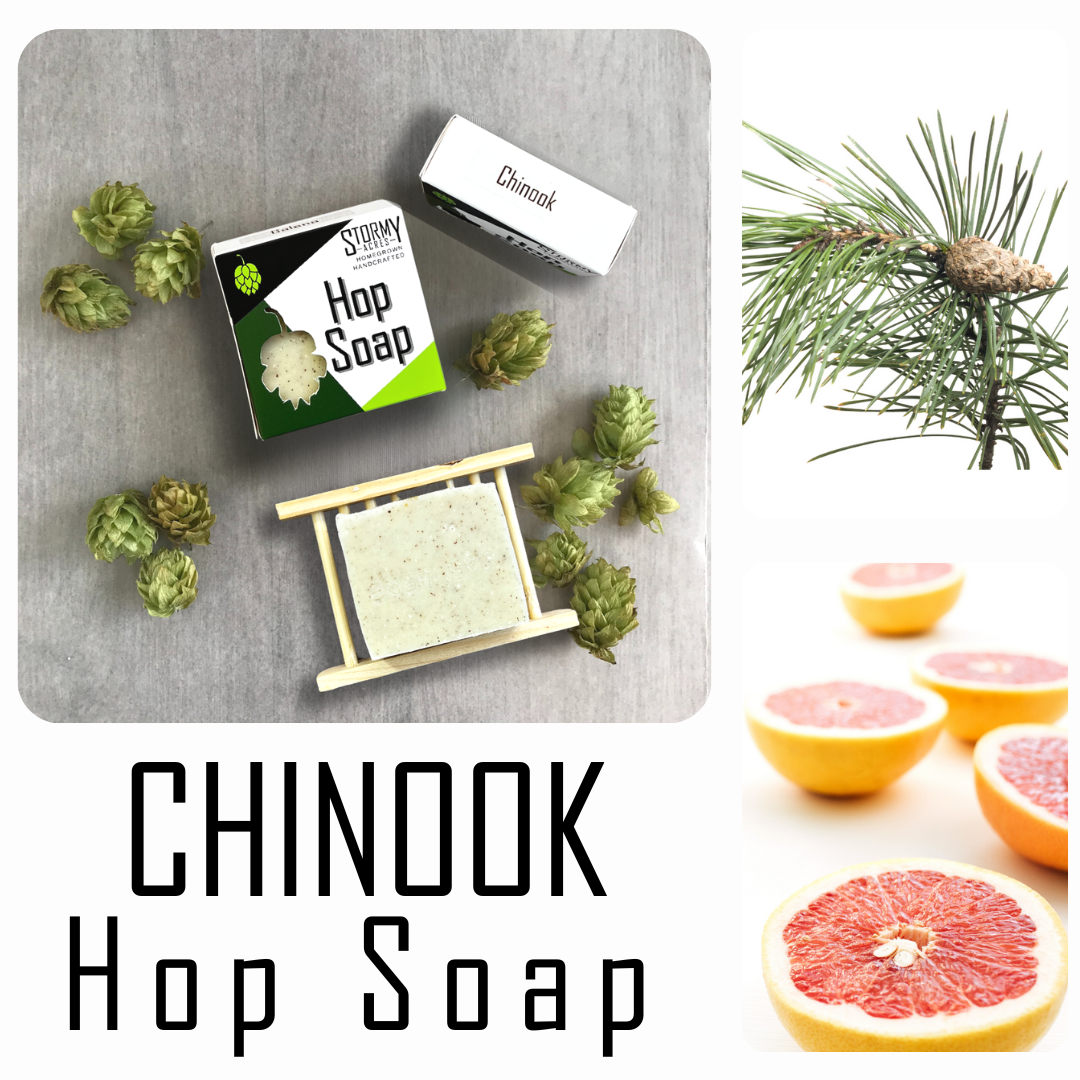 Hop Soap - Men's Natural Beer Soap - Chinook Scent