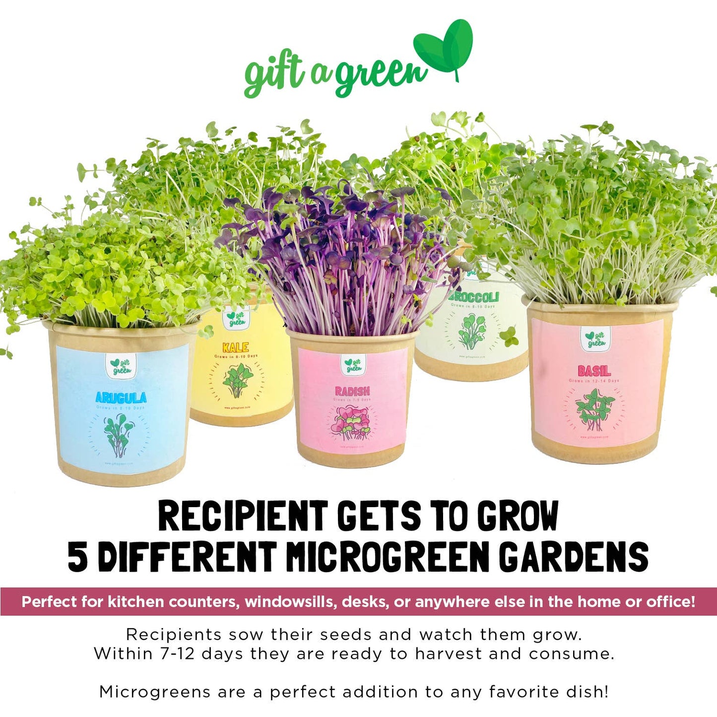 MicroGreens Gift Box