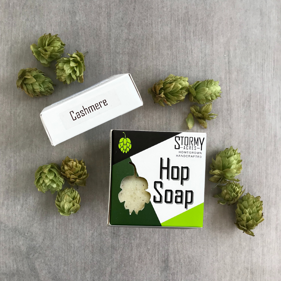 Hop Soap - Men's Natural Beer Soap - Cashmere Scent