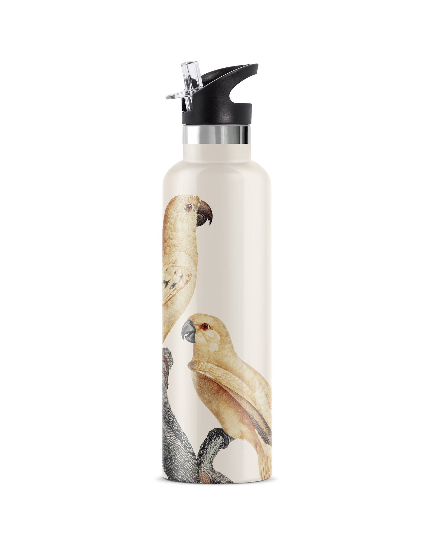 PERICO | 25 oz Insulated Water Bottle Flip'n' Sip Lid