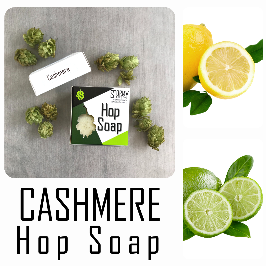 Hop Soap - Men's Natural Beer Soap - Cashmere Scent