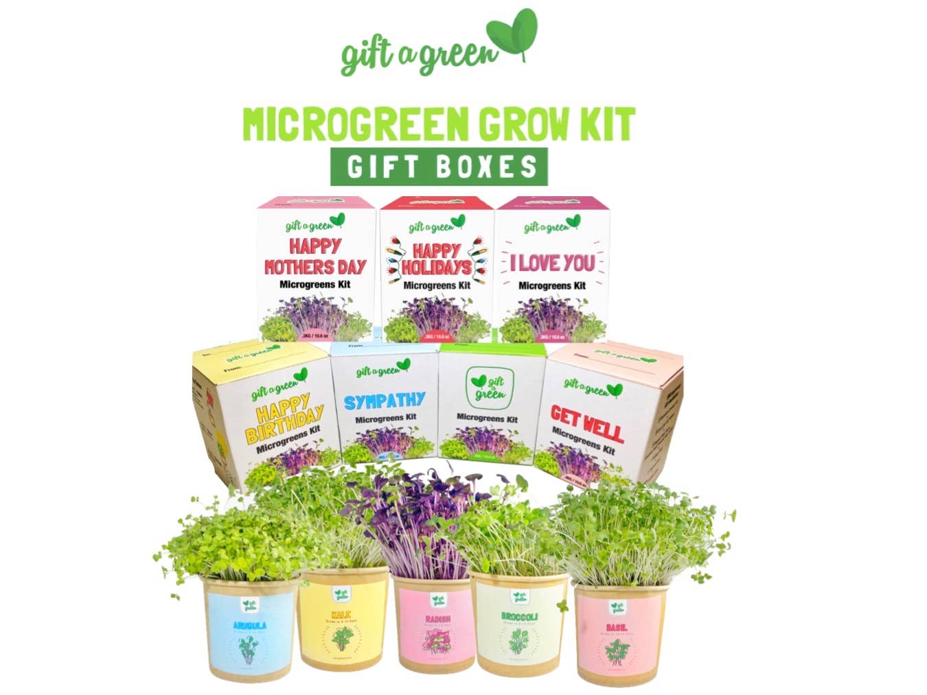 MicroGreens Gift Box