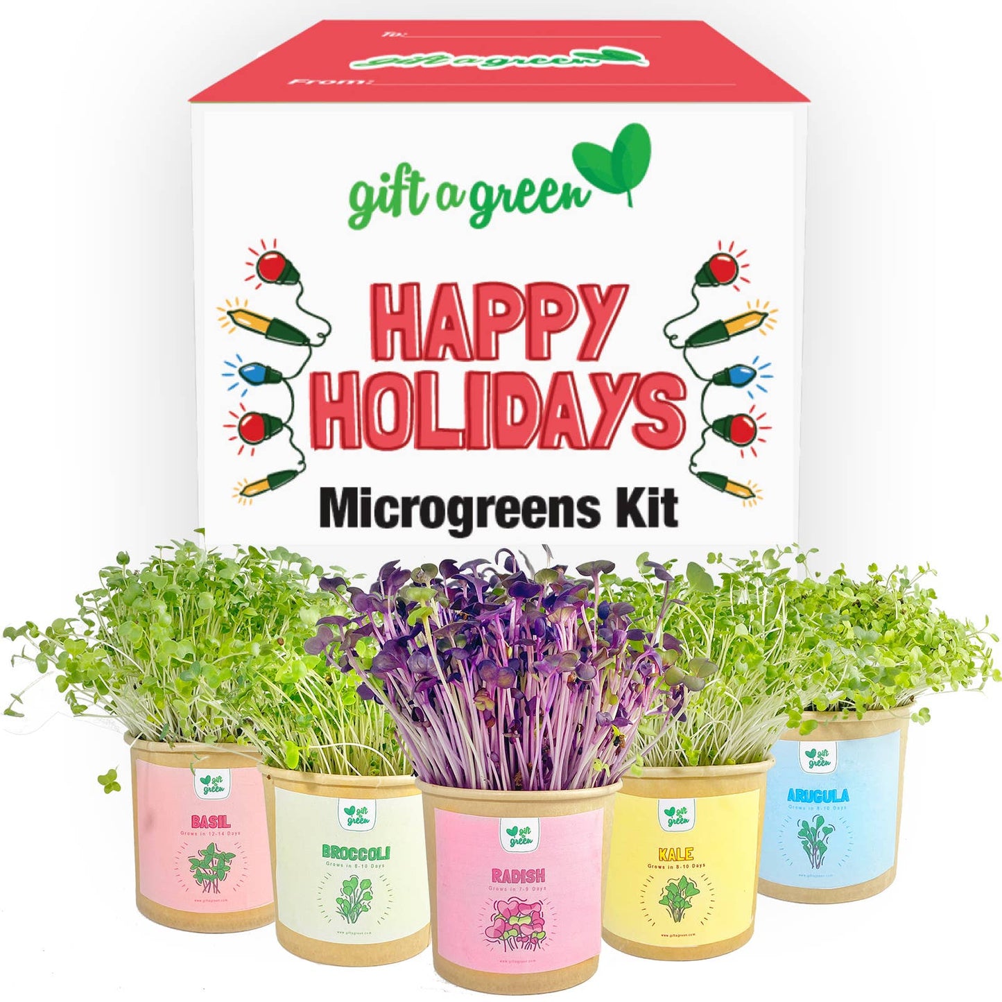 MicroGreens Gift Box